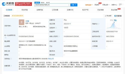信息系统集成服务 数字化时代的核心驱动力
