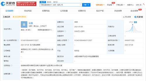 高效数据处理服务 赋能企业决策与业务增长