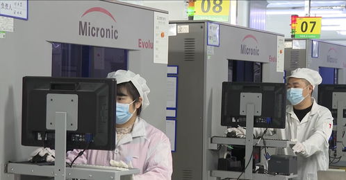 智能焕新 数据赋能 博敏电子大干四季度冲刺全年目标